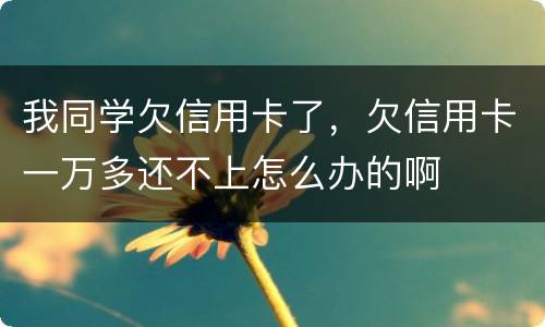 我同学欠信用卡了，欠信用卡一万多还不上怎么办的啊