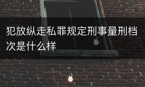 犯放纵走私罪规定刑事量刑档次是什么样