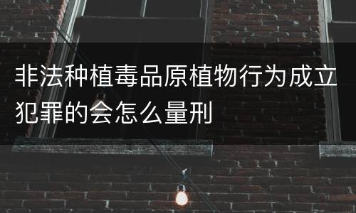 非法种植毒品原植物行为成立犯罪的会怎么量刑