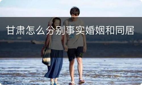 甘肃怎么分别事实婚姻和同居