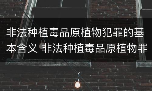 非法种植毒品原植物犯罪的基本含义 非法种植毒品原植物罪是指