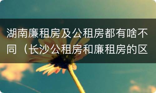 湖南廉租房及公租房都有啥不同（长沙公租房和廉租房的区别）