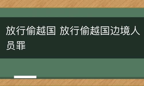放行偷越国 放行偷越国边境人员罪