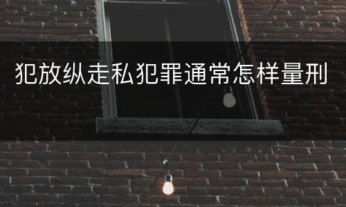 犯放纵走私犯罪通常怎样量刑