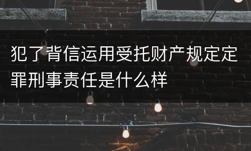 犯了背信运用受托财产规定定罪刑事责任是什么样