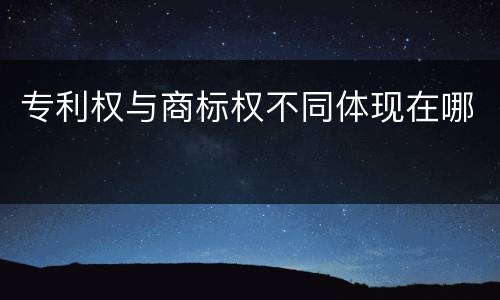 专利权与商标权不同体现在哪