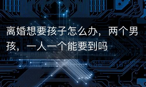 离婚想要孩子怎么办，两个男孩，一人一个能要到吗