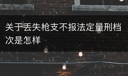 关于丢失枪支不报法定量刑档次是怎样