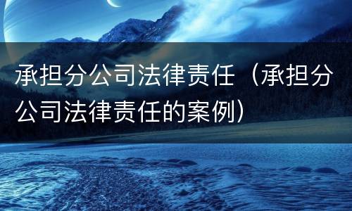 承担分公司法律责任（承担分公司法律责任的案例）