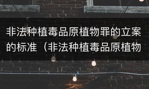 非法种植毒品原植物罪的立案的标准（非法种植毒品原植物罪量刑标准）
