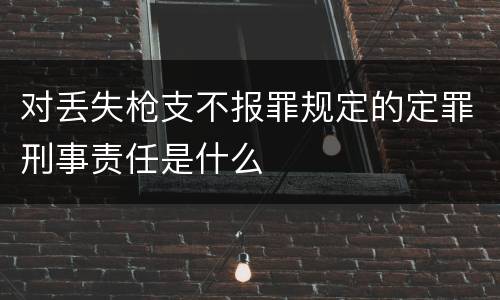 对丢失枪支不报罪规定的定罪刑事责任是什么