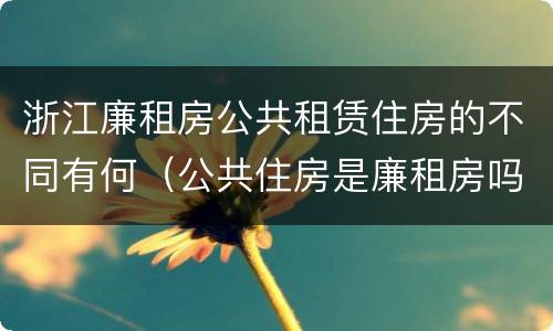 浙江廉租房公共租赁住房的不同有何（公共住房是廉租房吗）