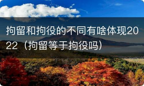 拘留和拘役的不同有啥体现2022（拘留等于拘役吗）