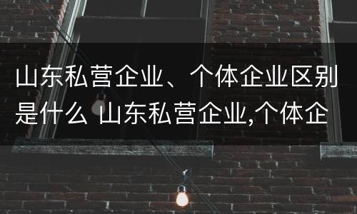 山东私营企业、个体企业区别是什么 山东私营企业,个体企业区别是什么意思