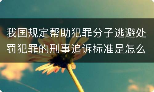 我国规定帮助犯罪分子逃避处罚犯罪的刑事追诉标准是怎么规定