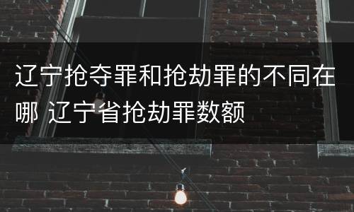 辽宁抢夺罪和抢劫罪的不同在哪 辽宁省抢劫罪数额