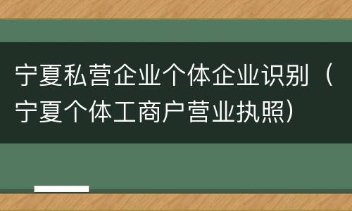 宁夏私营企业个体企业识别（宁夏个体工商户营业执照）