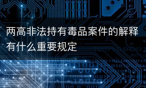 两高非法持有毒品案件的解释有什么重要规定