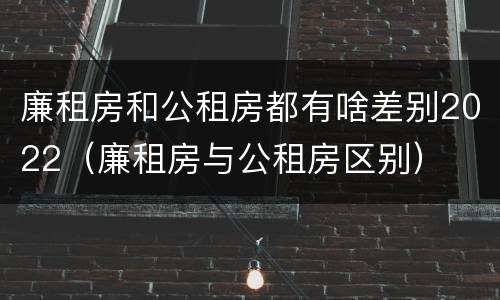 廉租房和公租房都有啥差别2022（廉租房与公租房区别）