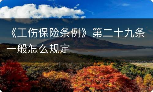 《工伤保险条例》第二十九条一般怎么规定