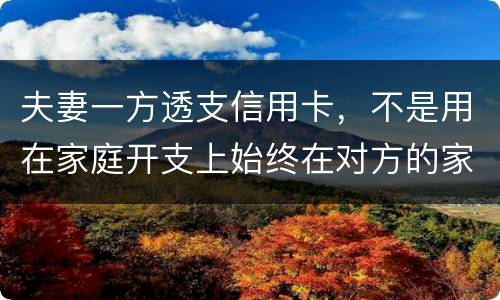 夫妻一方透支信用卡，不是用在家庭开支上始终在对方的家庭开支上我有义务给他还吗