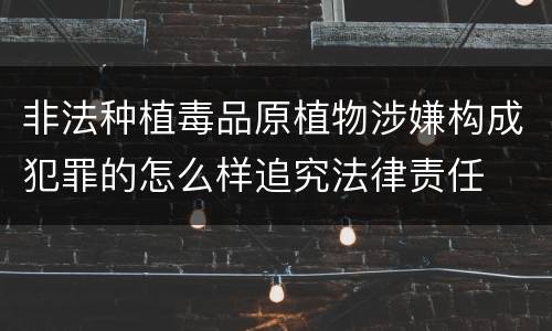 非法种植毒品原植物涉嫌构成犯罪的怎么样追究法律责任