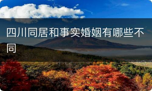 四川同居和事实婚姻有哪些不同