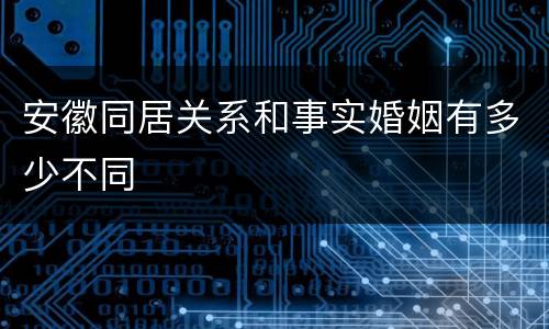 安徽同居关系和事实婚姻有多少不同