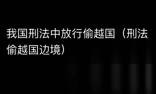 我国刑法中放行偷越国（刑法偷越国边境）