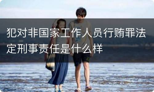 犯对非国家工作人员行贿罪法定刑事责任是什么样
