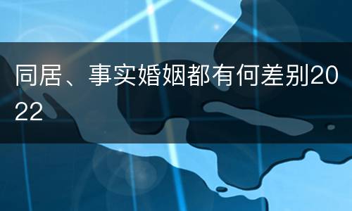 同居、事实婚姻都有何差别2022