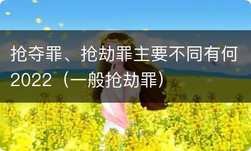 抢夺罪、抢劫罪主要不同有何2022（一般抢劫罪）