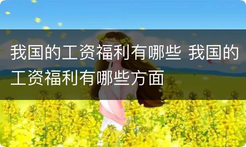 我国的工资福利有哪些 我国的工资福利有哪些方面