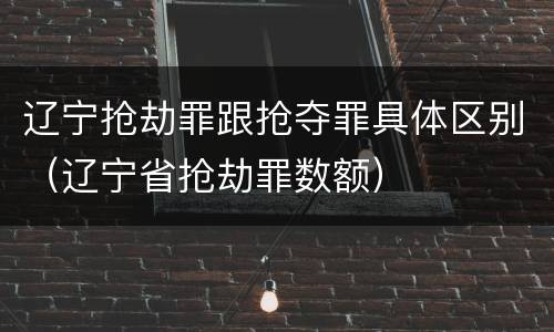 辽宁抢劫罪跟抢夺罪具体区别（辽宁省抢劫罪数额）