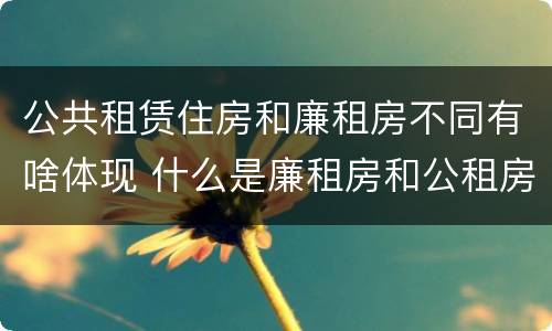 公共租赁住房和廉租房不同有啥体现 什么是廉租房和公租房两个有什么特点