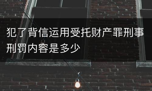 犯了背信运用受托财产罪刑事刑罚内容是多少