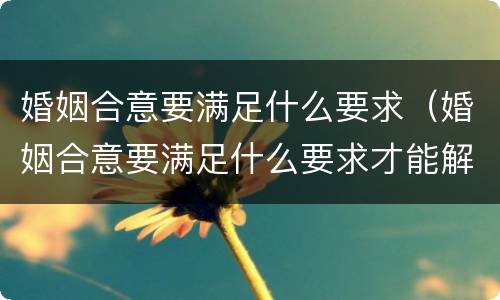 婚姻合意要满足什么要求（婚姻合意要满足什么要求才能解除）