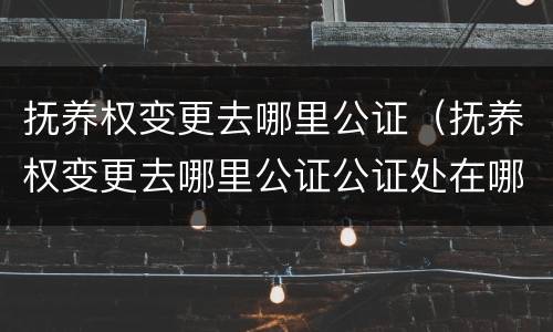 抚养权变更去哪里公证（抚养权变更去哪里公证公证处在哪）