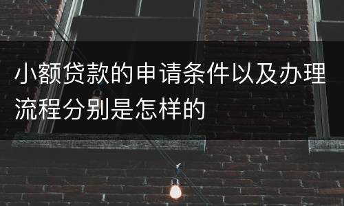 小额贷款的申请条件以及办理流程分别是怎样的