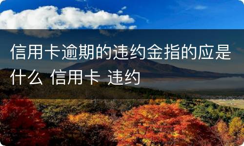信用卡逾期的违约金指的应是什么 信用卡 违约