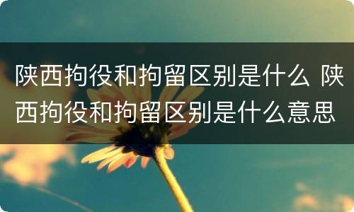 陕西拘役和拘留区别是什么 陕西拘役和拘留区别是什么意思