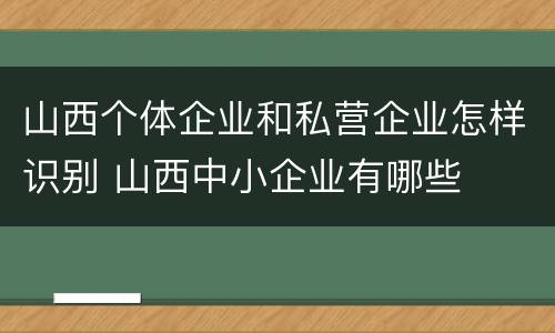 山西个体企业和私营企业怎样识别 山西中小企业有哪些