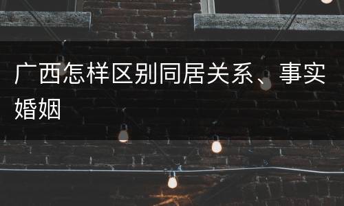 广西怎样区别同居关系、事实婚姻