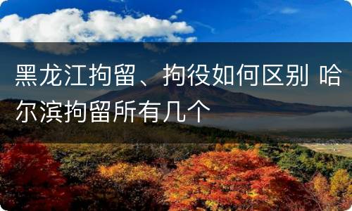 黑龙江拘留、拘役如何区别 哈尔滨拘留所有几个