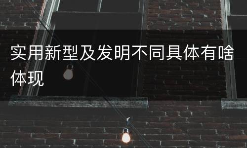 实用新型及发明不同具体有啥体现