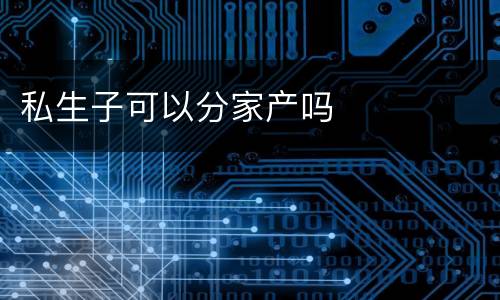私生子可以分家产吗