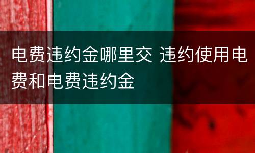 电费违约金哪里交 违约使用电费和电费违约金