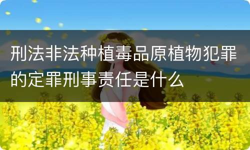 刑法非法种植毒品原植物犯罪的定罪刑事责任是什么