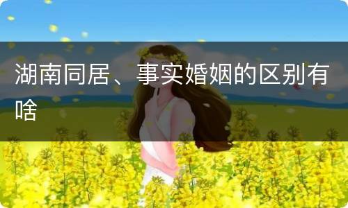 湖南同居、事实婚姻的区别有啥