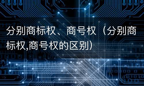 分别商标权、商号权（分别商标权,商号权的区别）